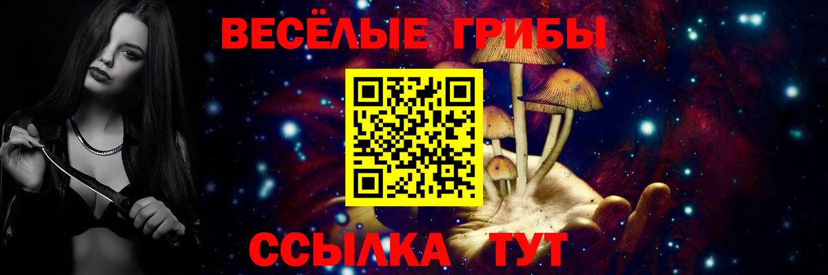 Галлюциногенные грибы мицелий Балтийск